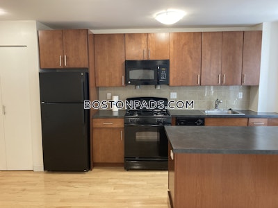 Brighton Apartment for rent 1 Bedroom 1 Bath Boston - $2,690 No Fee