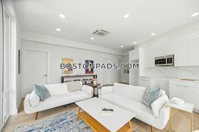 Brighton Apartment for rent 2 Bedrooms 1 Bath Boston - $3,850 No Fee