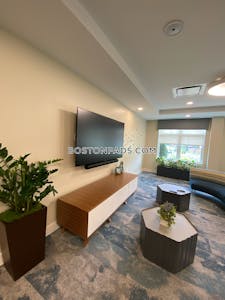 Brookline 3 bedroom 2.5 baths in BROOKLINE  Chestnut Hill - $8,370 No Fee