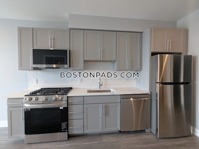Brighton 1 bedroom 1 baths Luxury in BOSTON Boston - $3,600 No Fee