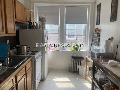 Brighton Apartment for rent 1 Bedroom 1 Bath Boston - $2,525 No Fee