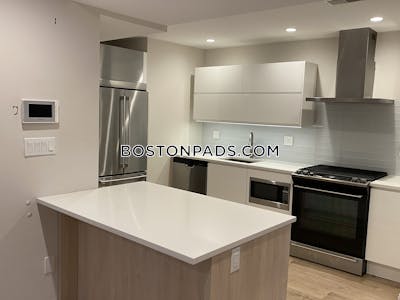 Dorchester/south Boston Border Apartment for rent 4 Bedrooms 2 Baths Boston - $3,900