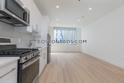 South End Apartment for rent Studio 1 Bath Boston - $2,250 No Fee
