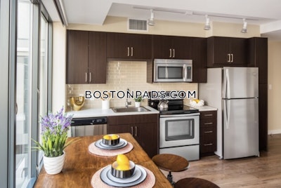 Downtown Apartment for rent Studio 1 Bath Boston - $3,420