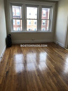 Allston Apartment for rent 1 Bedroom 1 Bath Boston - $2,250 No Fee