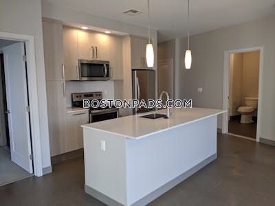 Jamaica Plain Apartment for rent 2 Bedrooms 2 Baths Boston - $3,630