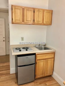 Brookline Apartment for rent Studio 1 Bath Boston University - $2,095 No Fee