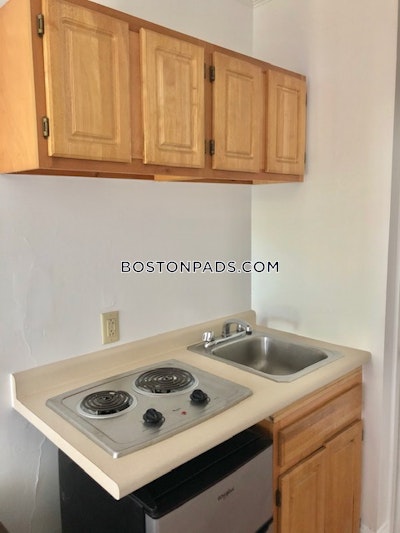 Brookline Apartment for rent Studio 1 Bath  Boston University - $1,795 No Fee