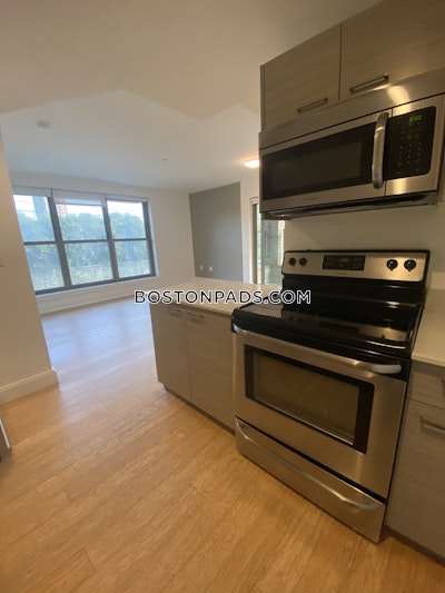 Allston Apartment for rent 2 Bedrooms 2 Baths Boston - $3,900 No Fee