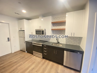 Allston Apartment for rent 2 Bedrooms 2 Baths Boston - $4,197 No Fee