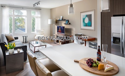 Waltham 2 bedroom 2 baths Luxury in WALTHAM - $3,545